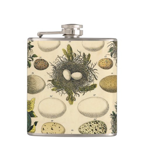 Vintage Bird Egg Nest Art Painting Eggs Flask