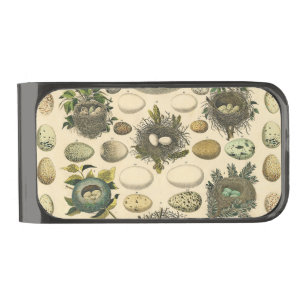 Vintage Bird Egg Nest Art Painting Eggs Gunmetal Finish Money Clip