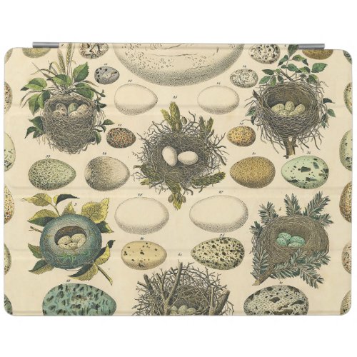 Vintage Bird Egg Nest Art Painting Eggs iPad Smart Cover