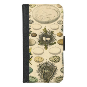 Vintage Bird Egg Nest Art Painting Eggs iPhone 8/7 Wallet Case
