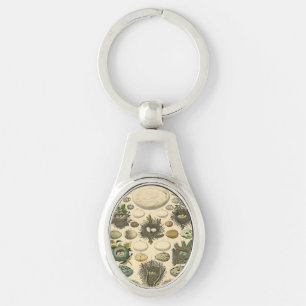 Vintage Bird Egg Nest Art Painting Eggs Keychain