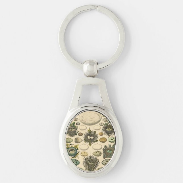 Vintage Bird Egg Nest Art Painting Eggs Keychain (Front)