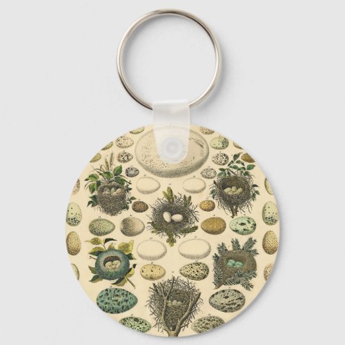 Vintage Bird Egg Nest Art Painting Eggs Keychain