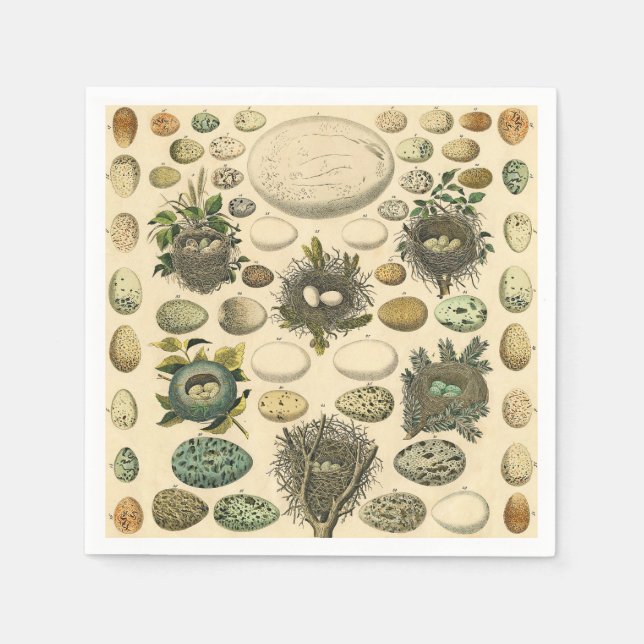 Vintage Bird Egg Nest Art Painting Eggs Napkins (Front)