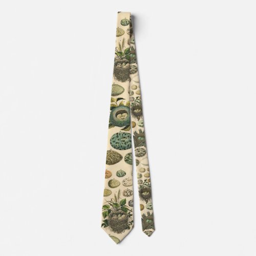 Vintage Bird Egg Nest Art Painting Eggs Neck Tie