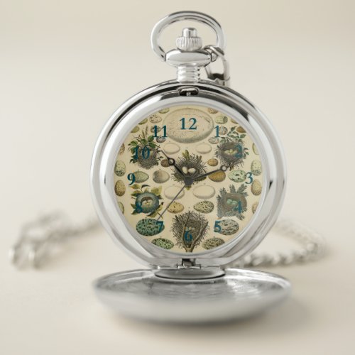 Vintage Bird Egg Nest Art Painting Eggs Pocket Watch