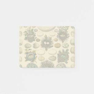 Vintage Bird Egg Nest Art Painting Eggs Post-it Notes