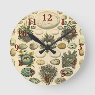 Vintage Bird Egg Nest Art Painting Eggs Round Clock
