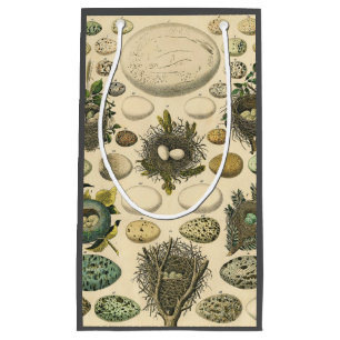 Vintage Bird Egg Nest Art Painting Eggs Small Gift Bag