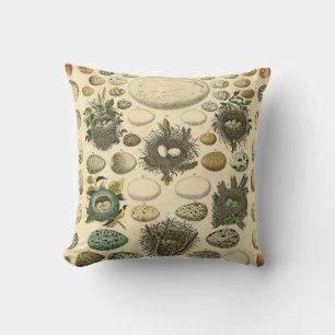 Vintage Bird Egg Nest Art Painting Eggs Throw Pillow