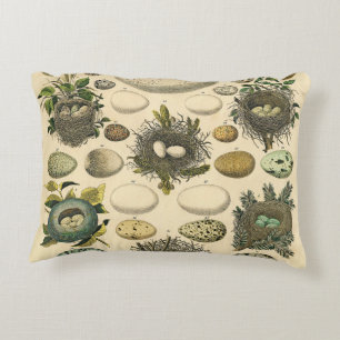 Vintage Bird Egg Nest Art Painting Natural History Accent Pillow