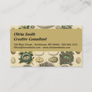 Vintage Bird Egg Nest Art Painting Natural History Business Card