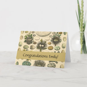 Vintage Bird Egg Nest Art Painting Natural History Card