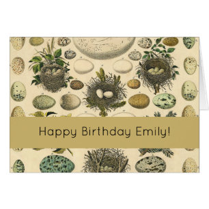 Vintage Bird Egg Nest Art Painting Natural History Cards