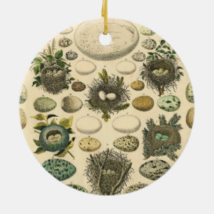 Vintage Bird Egg Nest Art Painting Natural History Ceramic Ornament