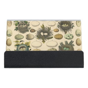 Vintage Bird Egg Nest Art Painting Natural History Desk Business Card Holder