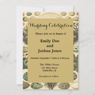 Vintage Bird Egg Nest Art Painting Natural History Invitation