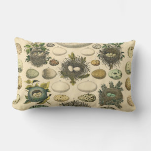 Vintage Bird Egg Nest Art Painting Natural History Lumbar Pillow