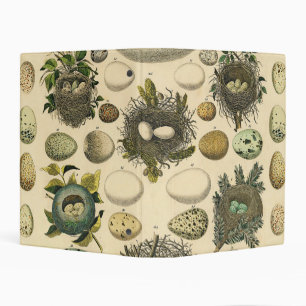 Vintage Bird Egg Nest Art Painting Natural History Mini Binder
