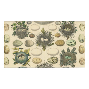 Vintage Bird Egg Nest Art Painting Natural History Name Tag