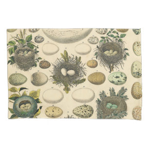 Vintage Bird Egg Nest Art Painting Natural History Pillow Case