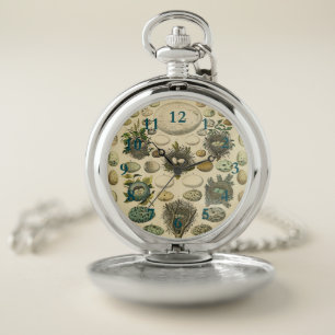 Vintage Bird Egg Nest Art Painting Natural History Pocket Watch