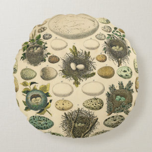 Vintage Bird Egg Nest Art Painting Natural History Round Pillow