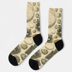 Vintage Bird Egg Nest Art Painting Natural History Socks