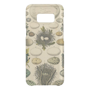 Vintage Bird Egg Nest Art Painting Natural History Uncommon Samsung Galaxy S8 Case