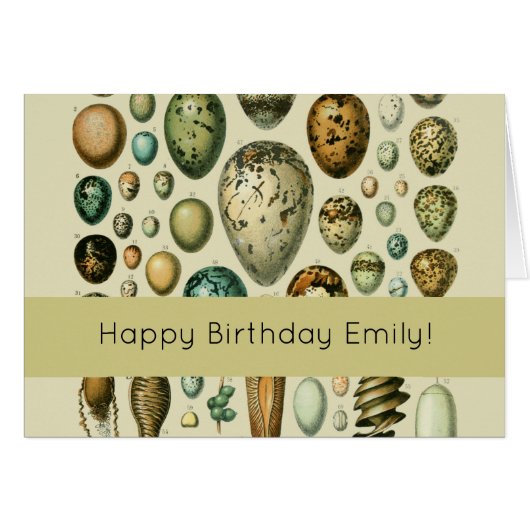 Vintage Bird Eggs French Fish Egg Art (Front Horizontal)