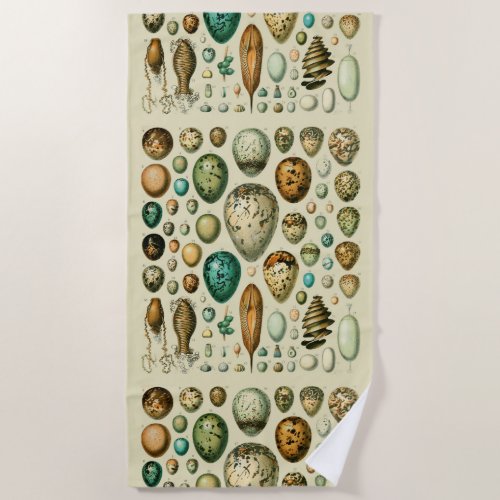 Vintage Bird Eggs French Fish Egg Art Beach Towel