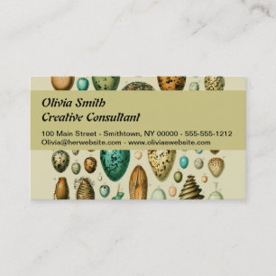 Vintage Bird Eggs French Fish Egg Art Business Card