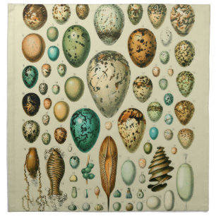 Vintage Bird Eggs French Fish Egg Art Cloth Napkin