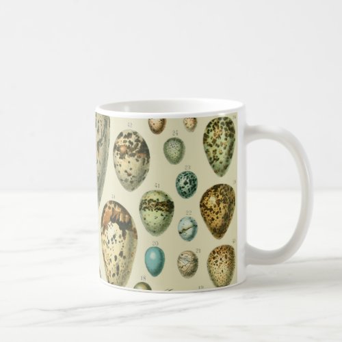 Vintage Bird Eggs French Fish Egg Art Coffee Mug