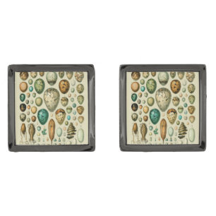 Vintage Bird Eggs French Fish Egg Art Cufflinks