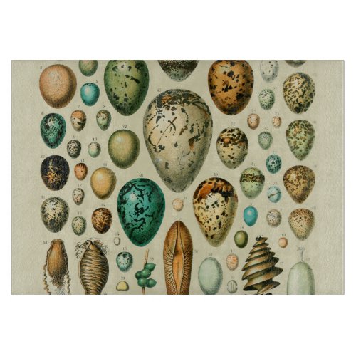 Vintage Bird Eggs French Fish Egg Art Cutting Board