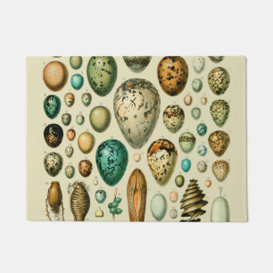 Vintage Bird Eggs French Fish Egg Art Doormat