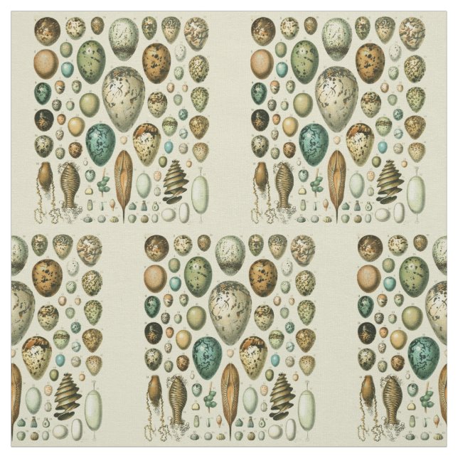 Vintage Bird Eggs French Fish Egg Art Fabric (Swatch)