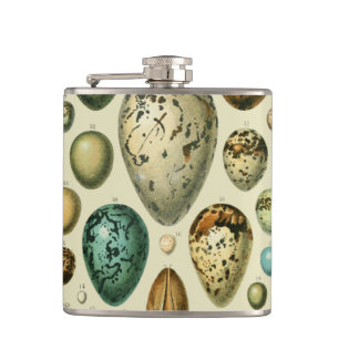 Vintage Bird Eggs French Fish Egg Art Flask