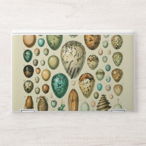 Vintage Bird Eggs French Fish Egg Art HP Laptop Skin