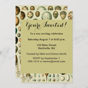 Vintage Bird Eggs French Fish Egg Art Invitation