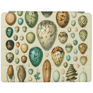 Vintage Bird Eggs French Fish Egg Art iPad Smart Cover