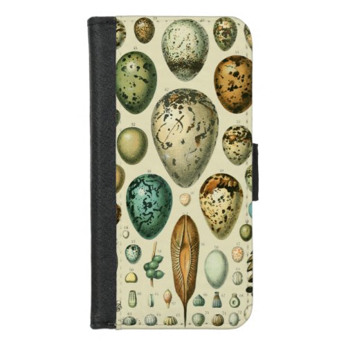 Vintage Bird Eggs French Fish Egg Art iPhone 87 Wallet Case
