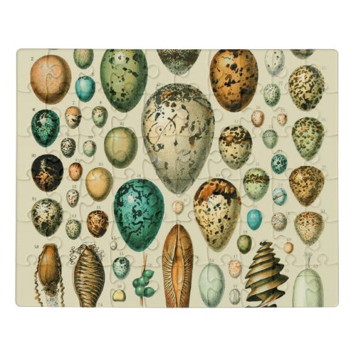 Vintage Bird Eggs French Fish Egg Art Jigsaw Puzzle