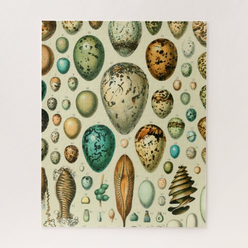 Vintage Bird Eggs French Fish Egg Art Jigsaw Puzzle