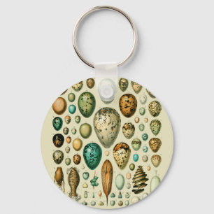 Vintage Bird Eggs French Fish Egg Art Keychain