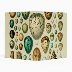 Vintage Bird Eggs French Fish Egg Art Mini Binder