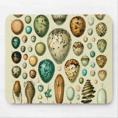 Vintage Bird Eggs French Fish Egg Art Mouse Pad