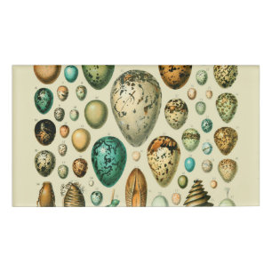 Vintage Bird Eggs French Fish Egg Art Name Tag