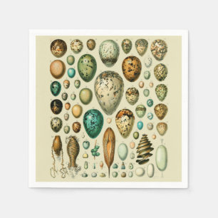Vintage Bird Eggs French Fish Egg Art Napkins